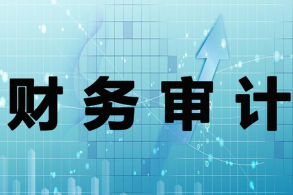 企业专项审计收费标准是怎么定的？