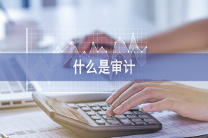 财务审计困境案例分享