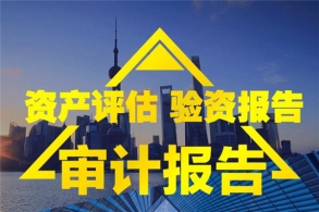 企业专项审计报告主要包含哪方面？