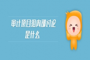 企业专项审计调查项目指哪些？