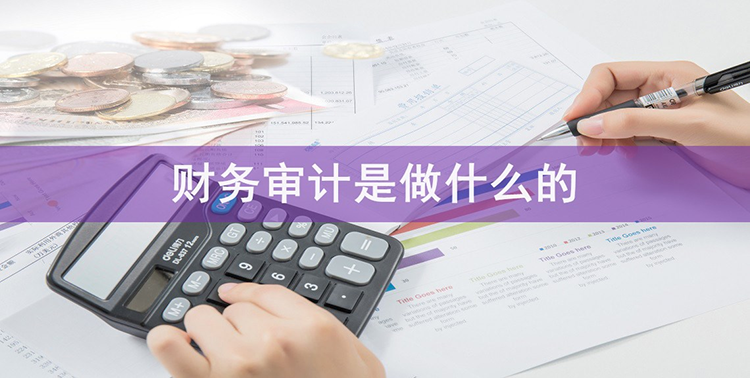 审计是做什么的.png